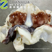 Frozen Giant Squid Neck Open Cut and Cleaned Hot Sales in Thaiand Size 200-500g